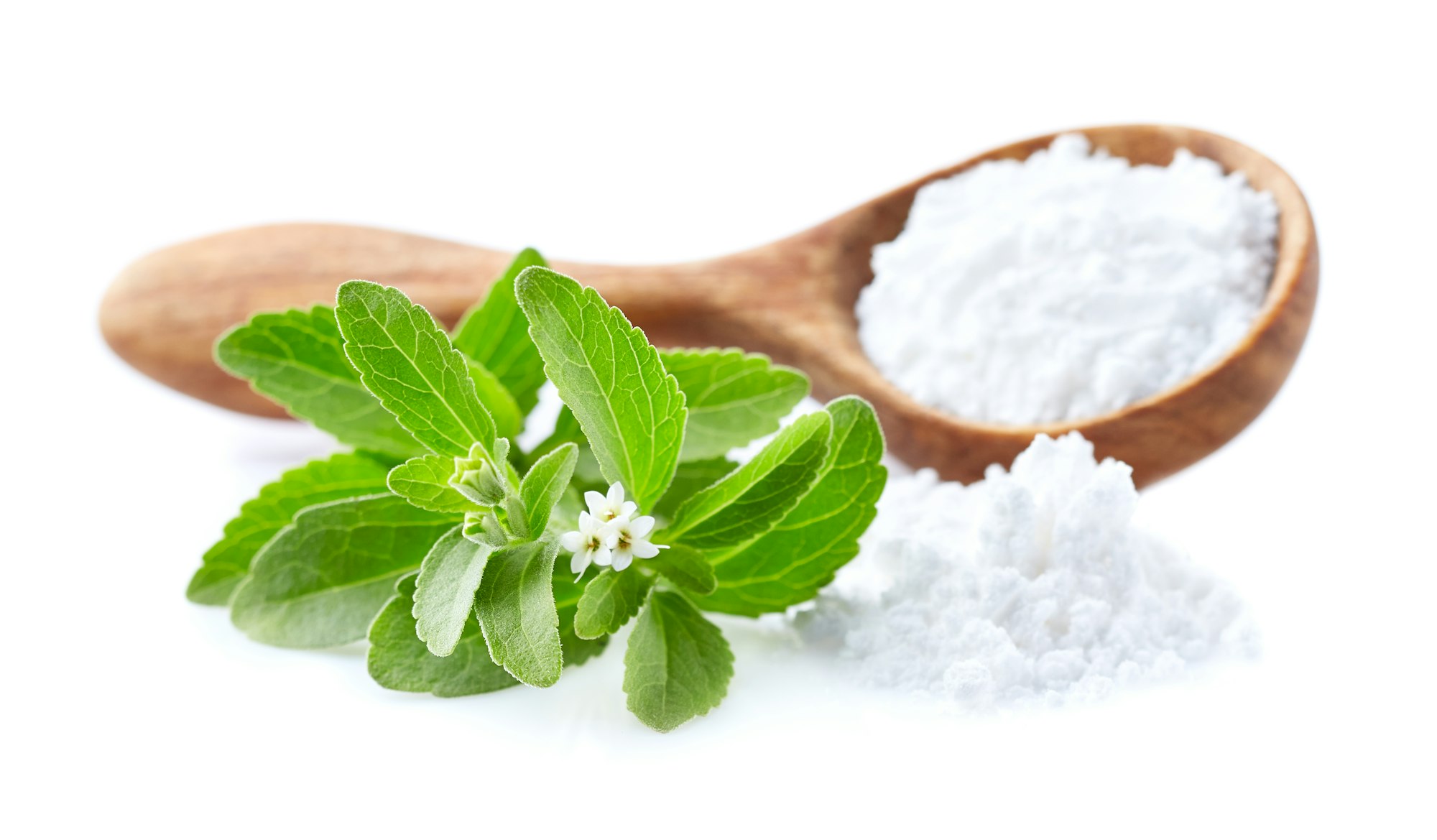 Stevia als Alternative für Zucker